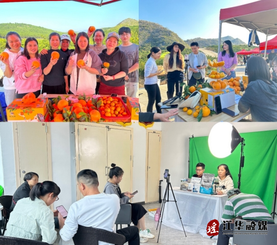 微信截图_20240116150502.png