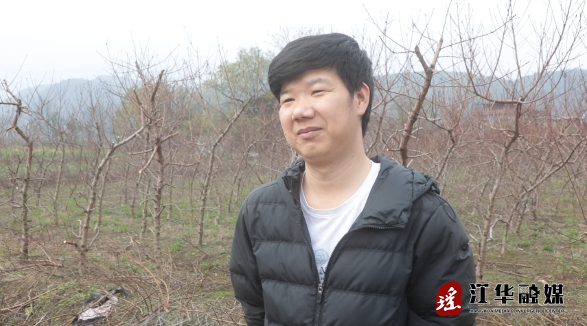 杨2.png