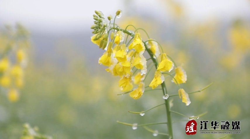 微信截图_20240123145110.png