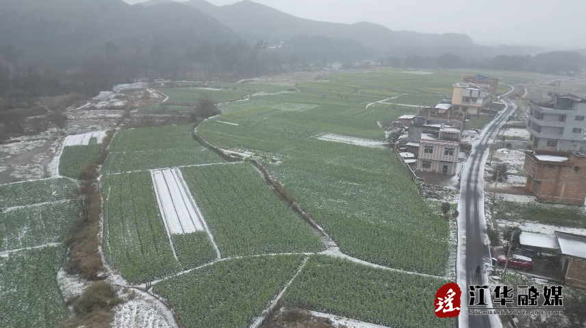 微信截图_20240123145051.png