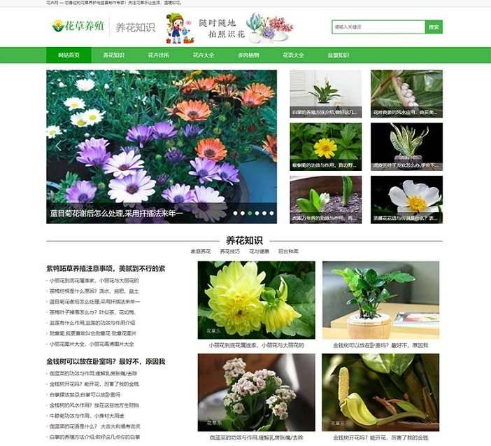 花卉养殖新闻资讯类pbootcms模板(PC+WAP) 绿色花草植物网站源码-淘惠啦资源站